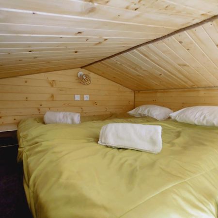 Apartamenty Zabcia Грзибово Экстерьер фото